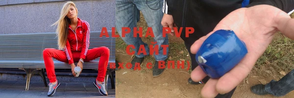 индика Алексин