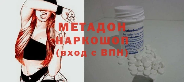 индика Алексин