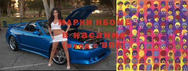 индика Алексин