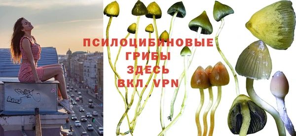 мескалин Алексеевка