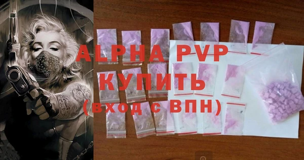 индика Алексин