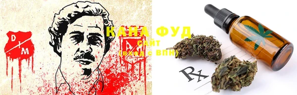 индика Алексин