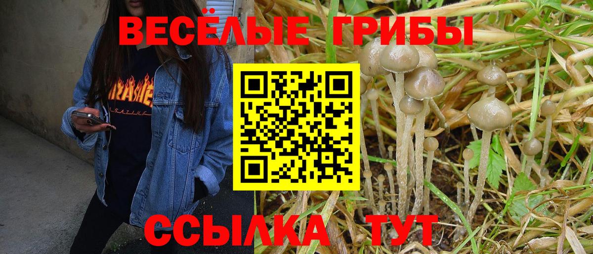 Псилоцибиновые грибы ЛСД Барабинск